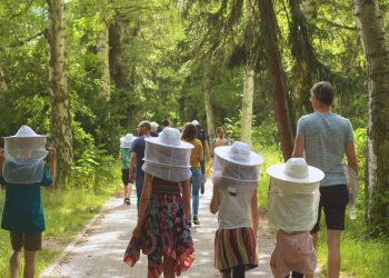 Langer Tag der Stadtnatur 2024 - Expeditionen ins wilde Berlin (C)Stiftung Naturschutz Berlin