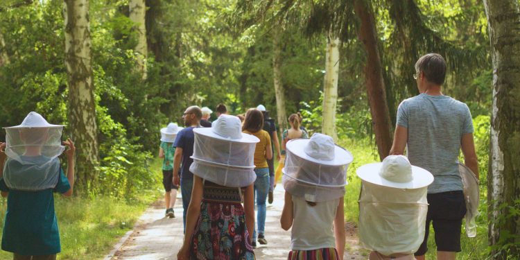 Langer Tag der Stadtnatur 2024 - Expeditionen ins wilde Berlin (C)Stiftung Naturschutz Berlin