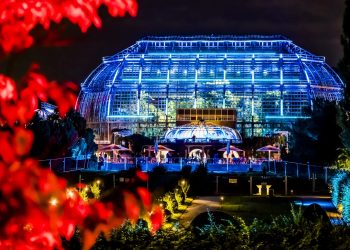 15 Jahre Bontanische Nacht Berlin - Magisches Jubiläum 2024 (C)David Marschalsky