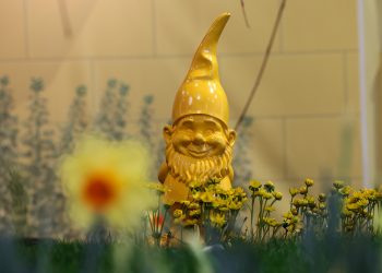 Grüne Woche 2025 - Blumenhalle wandelt sich zum „Blütenkiez Berlin“ (C)Messe Berlin GmbH