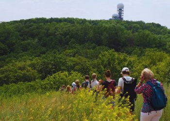 Langer Tag der StadtNatur 2025 - Berlins grüne Vielfalt erleben ©Stiftung Naturschutz Berlin / A. Ritze