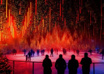 Dark Matter - Forest | WiDark Matter - Forest | Winterlights 2025 – Wenn Licht zu Poesie wirdnterlights 2025 – Wenn Licht zu Poesie wird