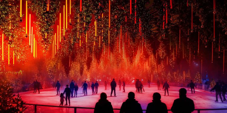 Dark Matter - Forest | WiDark Matter - Forest | Winterlights 2025 – Wenn Licht zu Poesie wirdnterlights 2025 – Wenn Licht zu Poesie wird