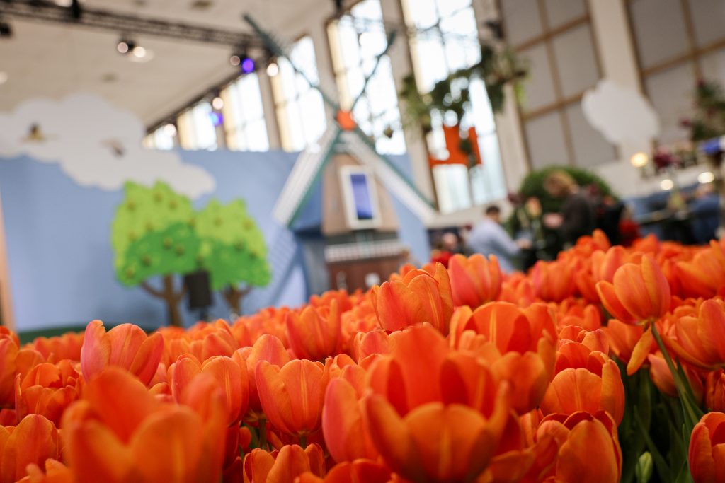 100 Jahre Grüne Woche: Tiere, Tapas & Techno auf dem Berliner Messegelände