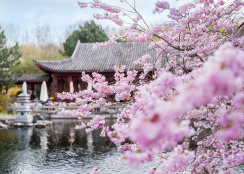 Ostern in den Gärten der Welt: Das große Frühlings-Spektakel 2026 (C)Ole Bader / Grüne Berlin GmbH