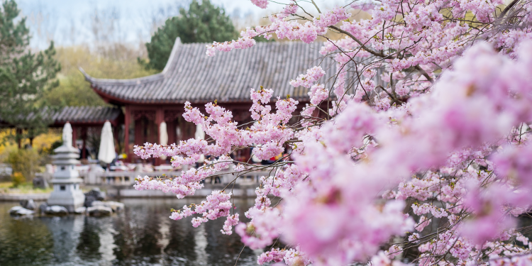 Ostern in den Gärten der Welt: Das große Frühlings-Spektakel 2026 (C)Ole Bader / Grüne Berlin GmbH