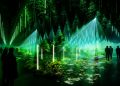 Forest Seasons: Der Wald als digitales Wunder in Berlin-Rummelsburg (C)Dark Matter / WHITEvoid