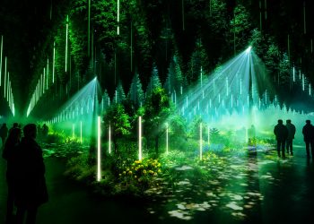 Forest Seasons: Der Wald als digitales Wunder in Berlin-Rummelsburg (C)Dark Matter / WHITEvoid