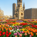 Tulpen-Meer in der City West: Berlin feiert am 14. März den „Tulip Day“ (C)BerlinMagazine.de AI