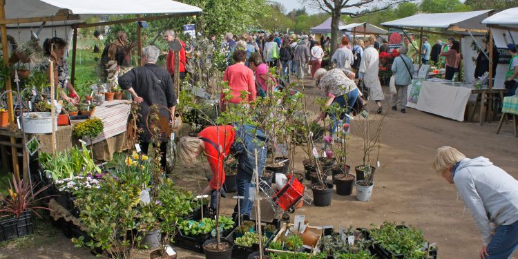 Das grüne Herz Berlins schlägt in Dahlem: Der Berliner Staudenmarkt 2026 (C)Ulrich Gatz
