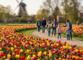Blütezeit der Niederlausitz: 750 Jahre Luckau & das Tulpenfest im LAGA-Park (C)BerlinMagazine.de AI