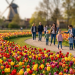 Blütezeit der Niederlausitz: 750 Jahre Luckau & das Tulpenfest im LAGA-Park (C)BerlinMagazine.de AI