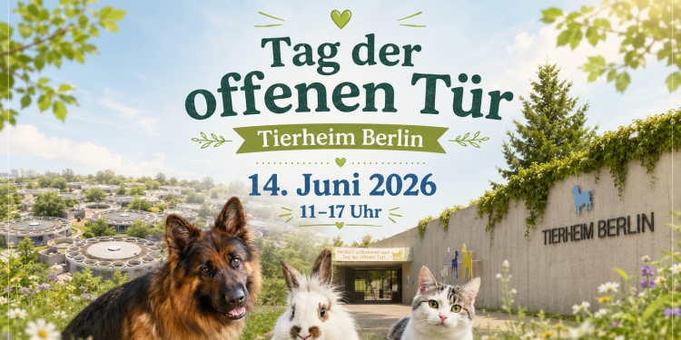 Tag der offenen Tür im Tierheim Berlin 2026 mit Führungen, Familienprogramm, Tierschutz und Tierheim-Adoption