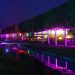 Illuminierter Schlosspark bei der Schlosspark-Nacht Oranienburg 2026