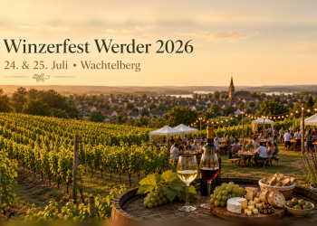 Winzerfest Werder 2026 auf dem Wachtelberg mit Weinreben, Festgästen, Havelblick und Heilig-Geist-Kirche