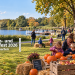 Kürbis- und Apfelfest 2026 im Britzer Garten mit Familien beim Kürbisschnitzen
