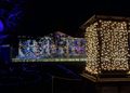Beleuchtete Laterne und farbenprächtige Lichtprojektionen am Schloss Friedrichsfelde bei Weihnachten im Tierpark Berlin